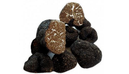 tartufo nero ordinario