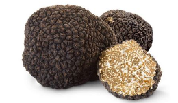 tartufo nero scorzone